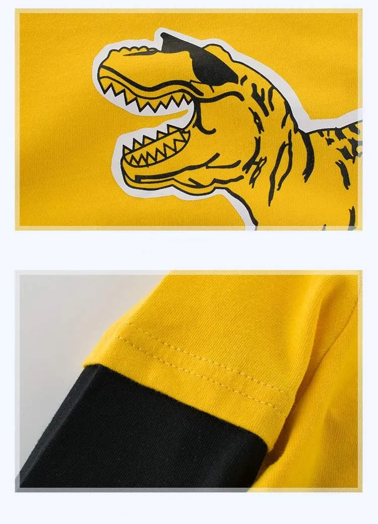HowJoJo Boys Dinosaur T Shirts Cotton Long Sleeve Shirt Graphic Tees